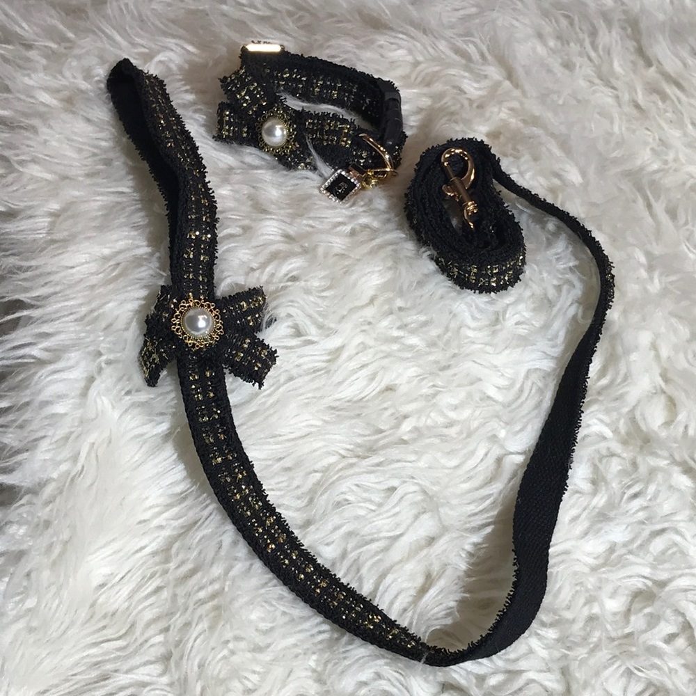 Dog/ cat collar with matching Leash